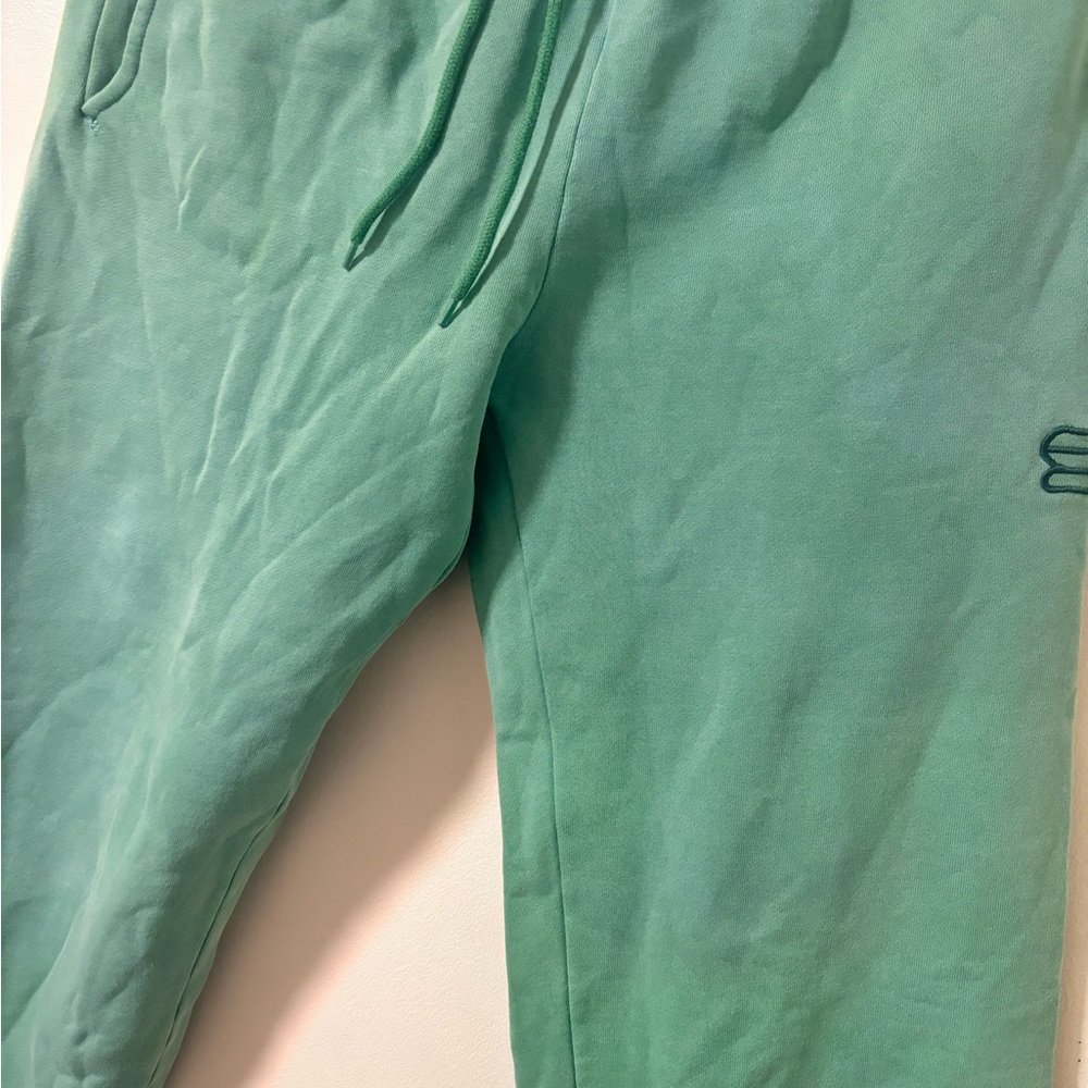 Aritzia teen or small size Mint Green Joggers